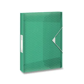 Box na dokumenty Esselte Colour'Ice ľadovo zelená